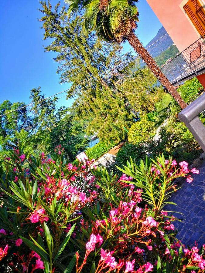 Вилла La Baia D'Acquadolce Bolzano Novarese Экстерьер фото